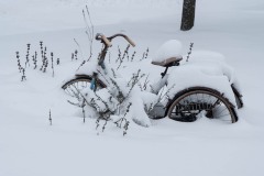AlanKlughammer.com_20200115-_AK52220