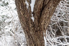 AlanKlughammer.com_20200115-_AK52233