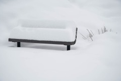 AlanKlughammer.com_20200115-_AK52270