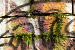 AlanKlughammer.com_20200126-_AK52319