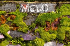 Melo