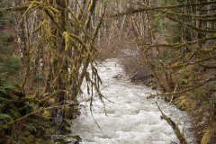 AlanKlughammer.com_20200329-_AK52539