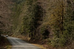 AlanKlughammer.com_20200329-_AK52551