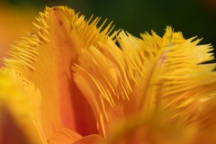 AlanKlughammer.com_20200508-_AK53066