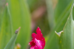 AlanKlughammer.com_20200524-_AK53541