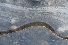 AlanKlughammer.com_20201224-20201224-_AK55714