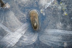 AlanKlughammer.com_20201224-_AK55713