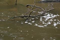 AlanKlughammer.com_20210116-_AK55735