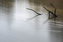 AlanKlughammer.com_20210116-_AK55746