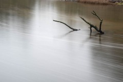 AlanKlughammer.com_20210116-_AK55747