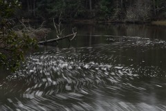 AlanKlughammer.com_20210116-_AK55751