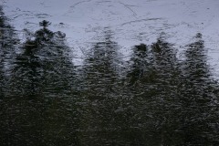 AlanKlughammer.com_20210123-_6102530