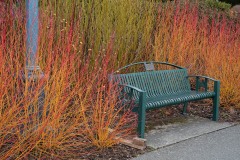 AlanKlughammer.com_20210130-_AK55769