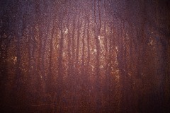 AlanKlughammer.com_20210130-_AK55785