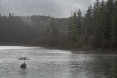 AlanKlughammer.com_20210206-_AK55830