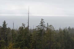 AlanKlughammer.com_20210206-_AK55862