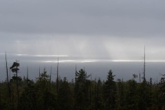 AlanKlughammer.com_20210206-_AK55870