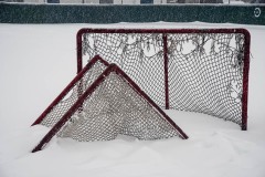 AlanKlughammer.com_20210213-_AK55902