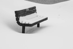 AlanKlughammer.com_20210213-_AK55932