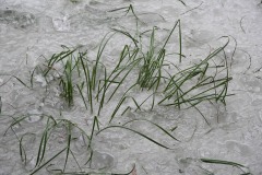 AlanKlughammer.com_20210220-_AK55978