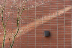 AlanKlughammer.com_20210306-_6102595