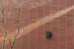 AlanKlughammer.com_20210306-_6102595