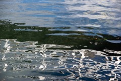 AlanKlughammer.com_20210306-_6102605