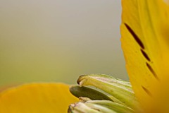 AlanKlughammer.com_20210307-_AK55989-Edit