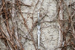 AlanKlughammer.com_20210313-_6102730