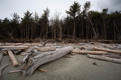 AlanKlughammer.com_20210402-_AK56070