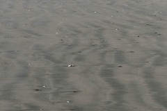 AlanKlughammer.com_20210402-_AK56079