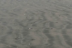 AlanKlughammer.com_20210402-_AK56079