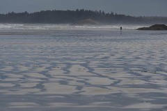 Long Beach Waves