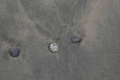 AlanKlughammer.com_20210402-_AK56098