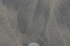 AlanKlughammer.com_20210402-_AK56100