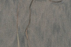 AlanKlughammer.com_20210402-_AK56107-Edit