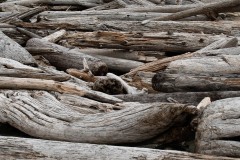 AlanKlughammer.com_20210402-_AK56108-Edit