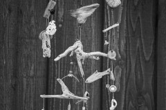 AlanKlughammer.com_20210402-_AK56149