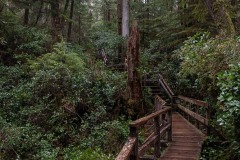 AlanKlughammer.com_20210403-_AK56196