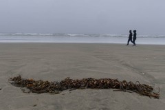 AlanKlughammer.com_20210403-_AK56224