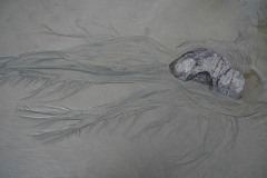 AlanKlughammer.com_20210403-_AK56238