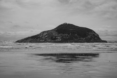 AlanKlughammer.com_20210403-_AK56267