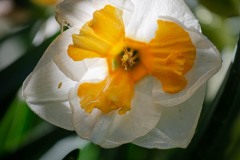 AlanKlughammer.com_20210502-_6102791