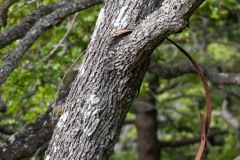 AlanKlughammer.com_20210508-_AK56463