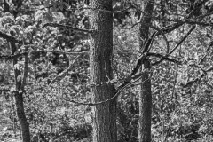 AlanKlughammer.com_20210918-_AK57093