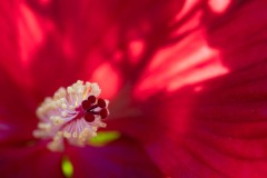 AlanKlughammer.com_20210923-_AK57365