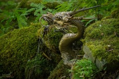 AlanKlughammer.com_20210923-_AK57399