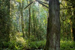 AlanKlughammer.com_20211011-_AK57486-HDR