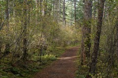 AlanKlughammer.com_20211011-_AK57505