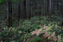 AlanKlughammer.com_20211012-_AK57563